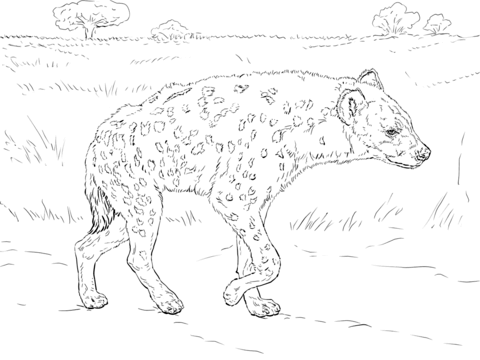 Spotted Hyena Walking In The Savannah Coloring Page